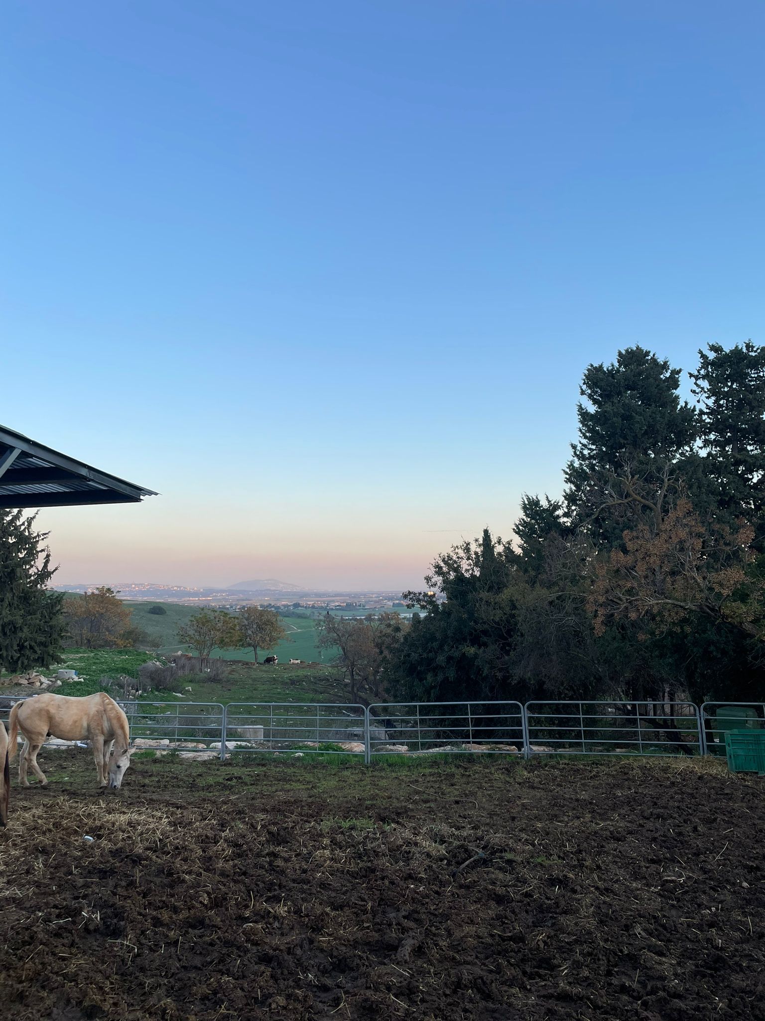 נוף עם סוס בשקיעה
